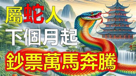 井卦財運|2025蛇年開財運 國運與投資趨勢卦象解析